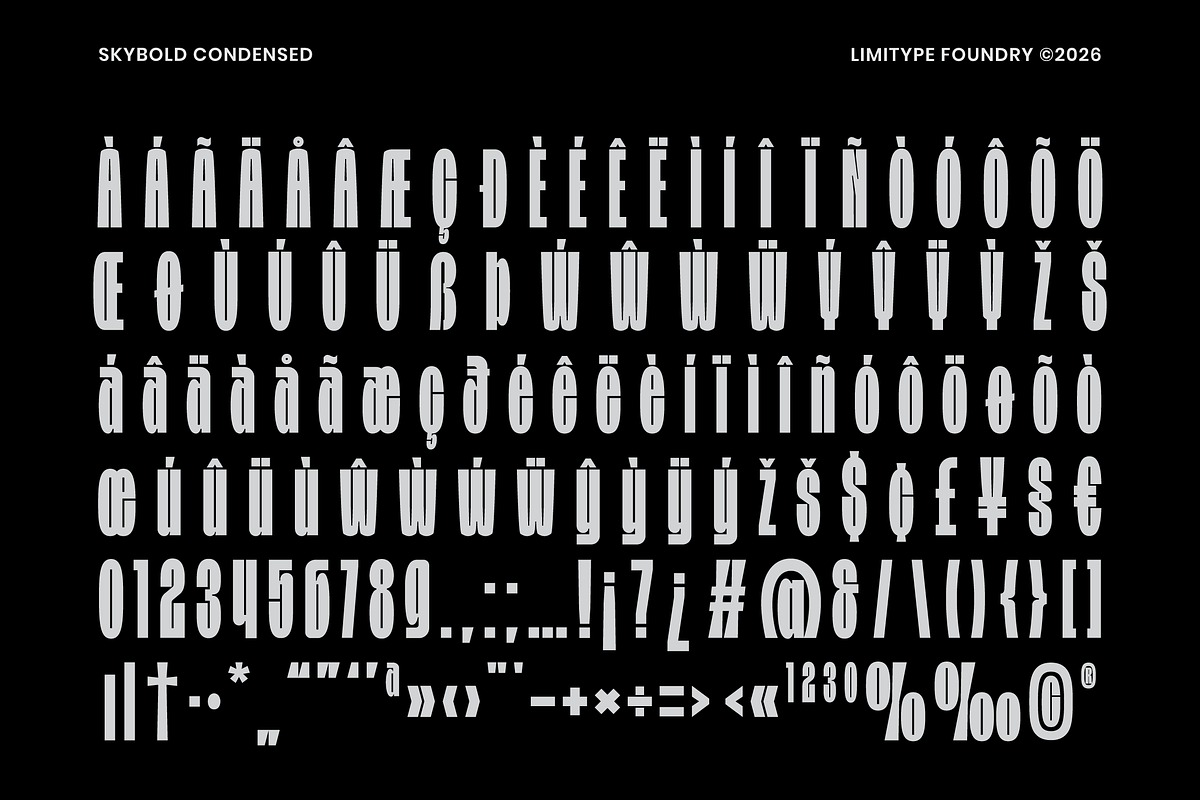 Skybold - Condensed Font, a Sans Serif Font by limitype (Photo 11 of 12)
