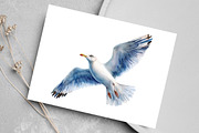 Watercolor Mediterranean Clipart, an Illustration by Canvas Craft (Thumbnail 4 of 7)
