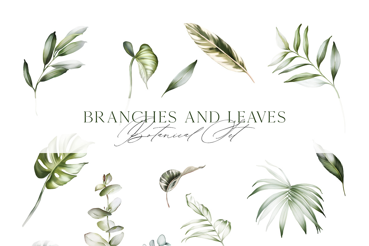 Green leaves | Botanical set, a Decorative Illustration by Karma (Photo 15 of 18)