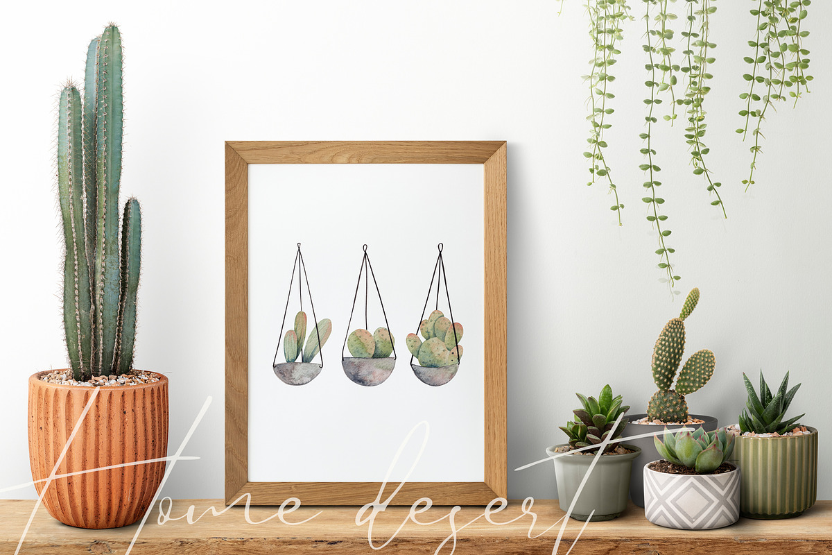 Cacti watercolor collection, an Object Illustration by Skliarova (Photo 9 of 10)