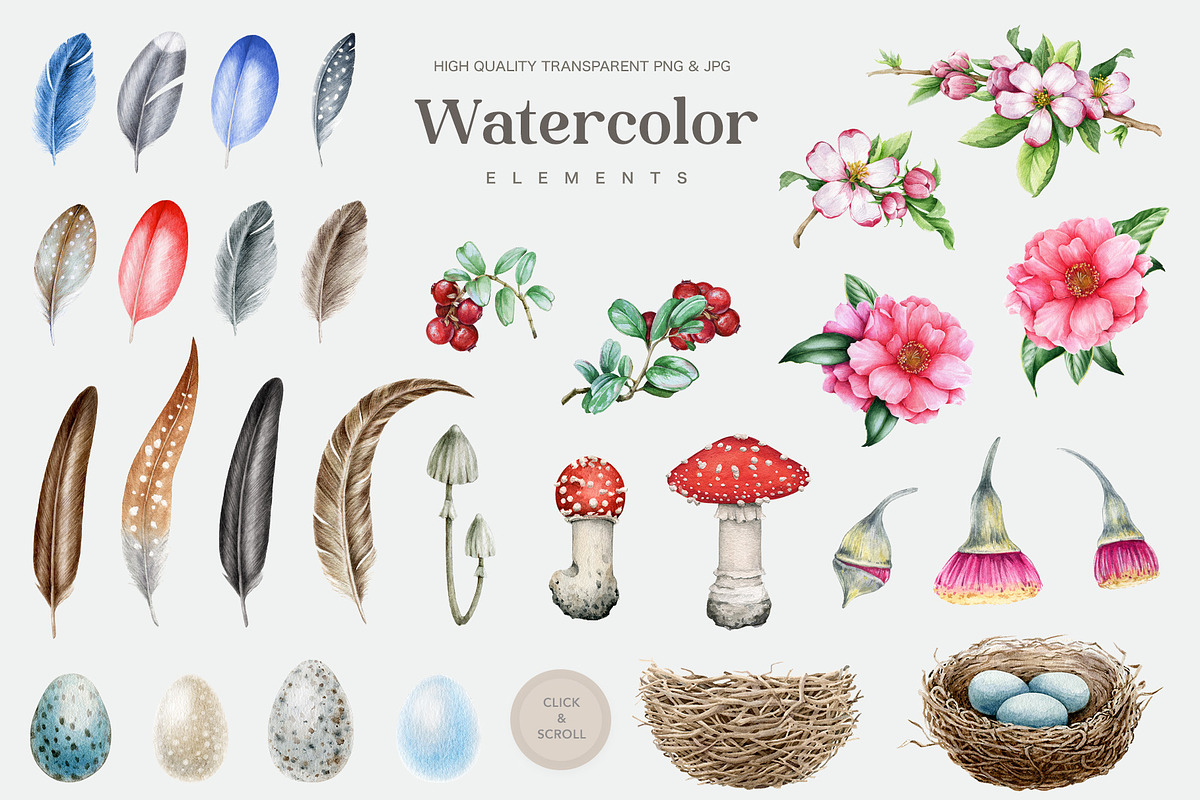 Forest Birds Watercolor Set, an Animal Illustration by AnitaPol (Photo 23 of 26)