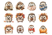 Autumn Hedgehog Fall Woodland Animal, an Illustration by Design Market (Thumbnail 2 of 4)