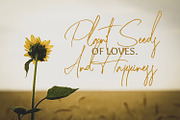 Banten Lama - Signature Script Font, a Script Font by StringLabs (Thumbnail 2 of 11)