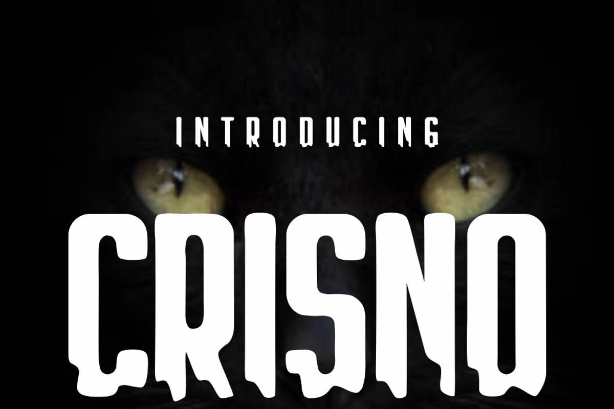Crisno, a Sans Serif Font by lelevien (Photo 1 of 5)