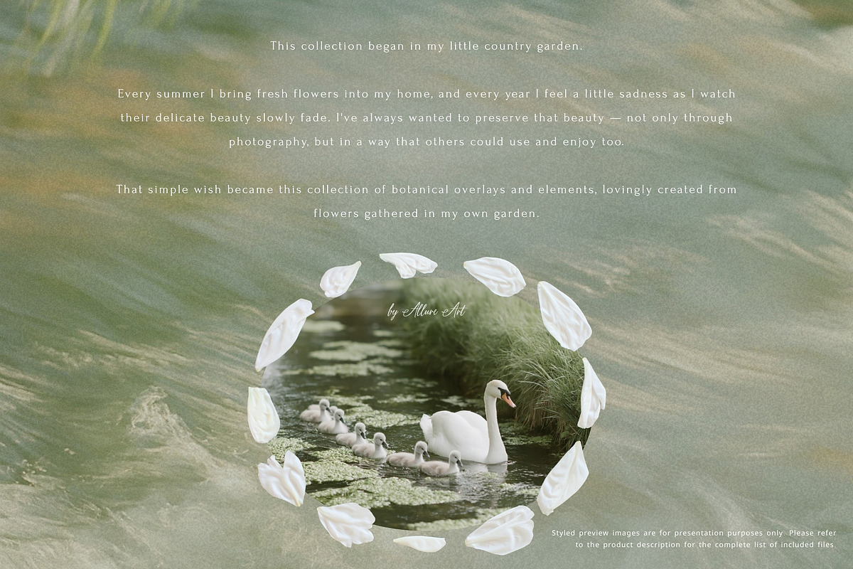 Petals Botanical Overlay Kit & Paper, an Object Graphic by Allure Art (Photo 6 of 22)