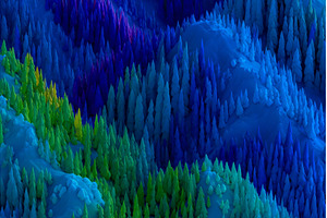 In a forest of aged spruce, fir, and, a Nature Photo by ZinetroN
