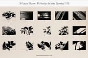 Serene Aesthetic Shadow Overlays, a Texture Graphic by Feather & Sage Design (Thumbnail 11 of 15)