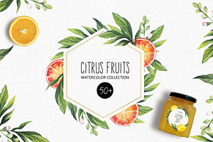CITRUS FRUITS