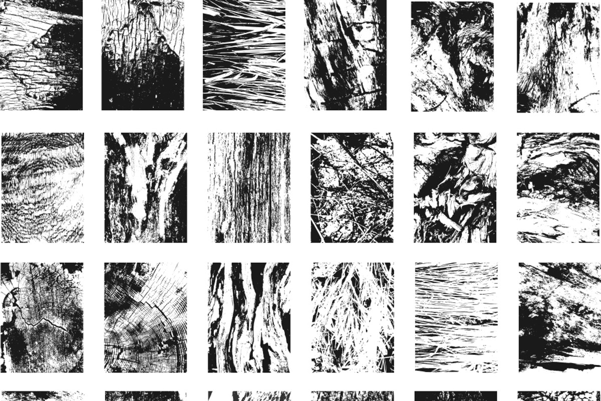 Vector Textures Mother Nature Vol 2 preview 2