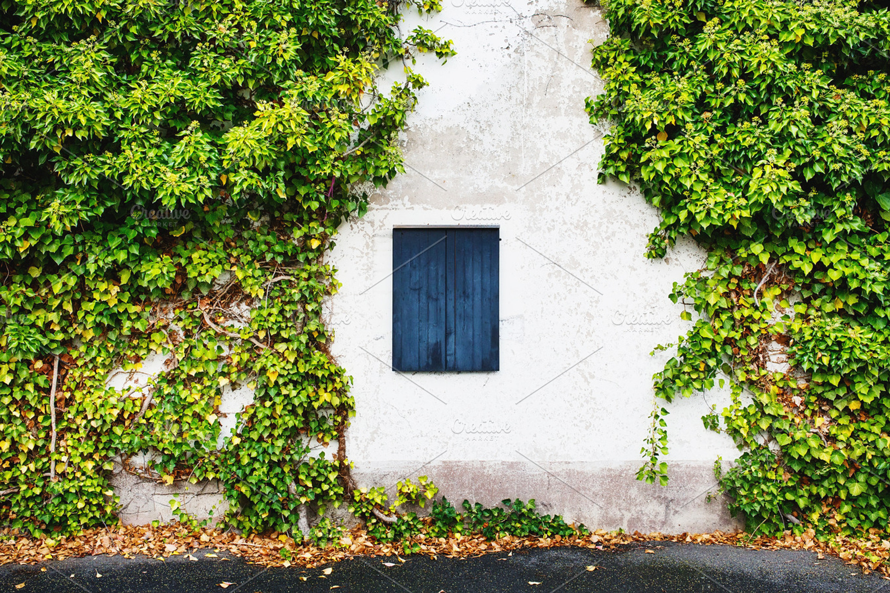 Window with closed wooden shutters., an Architecture Photo by odpium