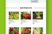 Plant Shop Landing Page, a Landing Page Template by ContestDesign (Thumbnail 4 of 6)