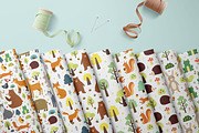 Forest Animals Collection, an Animal Illustration by Gulnara Sabirova (Thumbnail 10 of 15)