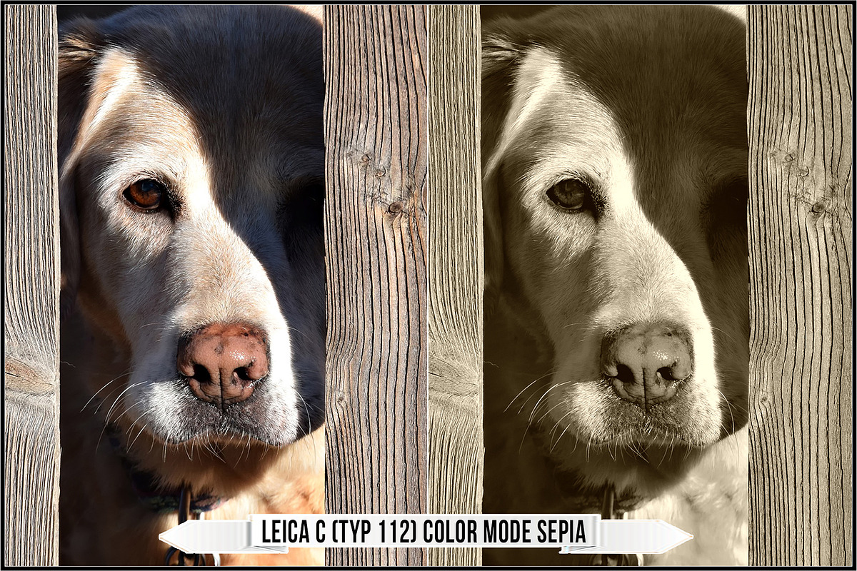 Leica Film Styles, a Plug-in Add-On by Raztrend (Photo 17 of 30)