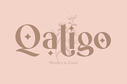 Qaligo Sans | Elegant Font, a Sans Serif Font by Youthlabs Studio (Thumbnail 18 of 18)