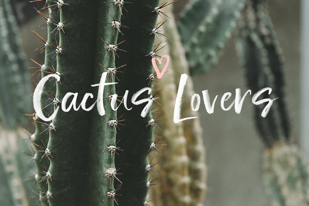 SpringRain SVG watercolor brush font, a Script Font by Angele Kamp (Photo 6 of 9)