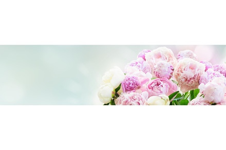 Fresh peony flowers, a Nature Photo by Neirfy