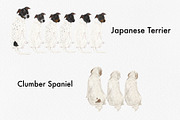 Watercolor dog breed clipart, an Animal Illustration by ColorfulPT (Thumbnail 6 of 8)