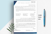 CEO Resume Template, CV Templates, a Resume Template by Career Canvas (Thumbnail 9 of 11)