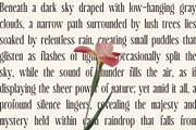 CS Damon Drawn, a Serif Font by Craft Supply Co. (Thumbnail 4 of 8)