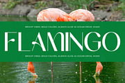 Midnight Goyage Modern Sans Serif, a Sans Serif Font by timelesstype.co (Thumbnail 15 of 20)