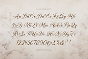 Royallique | Classic Calligraphy, a Script Font by gracetype_studio (Thumbnail 10 of 12)