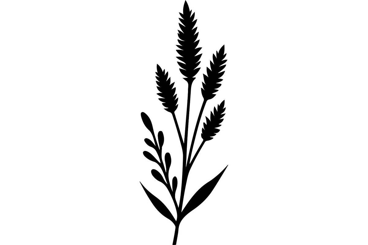 Decorative Tribal Feather Vector, an Object Graphic by Designer_Momina (Photo 14 of 18)