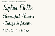 Sylva Belle Modern Calligraphy, a Script Font by Colorsfav (Thumbnail 2 of 10)