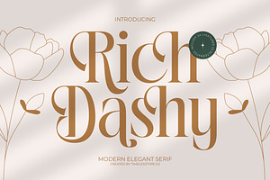 Rich Dashy Modern Elegant Serif, a Script Font by timelesstype.co