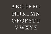 Hughe Serif Font Family, a Serif Font by Creativetacos (Thumbnail 2 of 8)