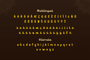 Ahuta, a Serif Font by twinstd (Thumbnail 10 of 12)