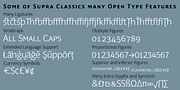 Supra Classic, a Sans Serif Font by Wiescher-Design (Thumbnail 1 of 9)