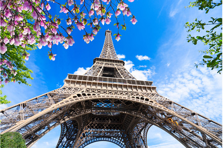eiffel tour and Paris cityscape, an Architecture Photo by Neirfy