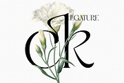Aniekyal - Luxury Serif Font, a Serif Font by Qweera Studio (Thumbnail 8 of 12)