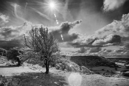 Sun Shining Over Coaley Peak, Glouce, a Nature Photo by Margaret Clavell