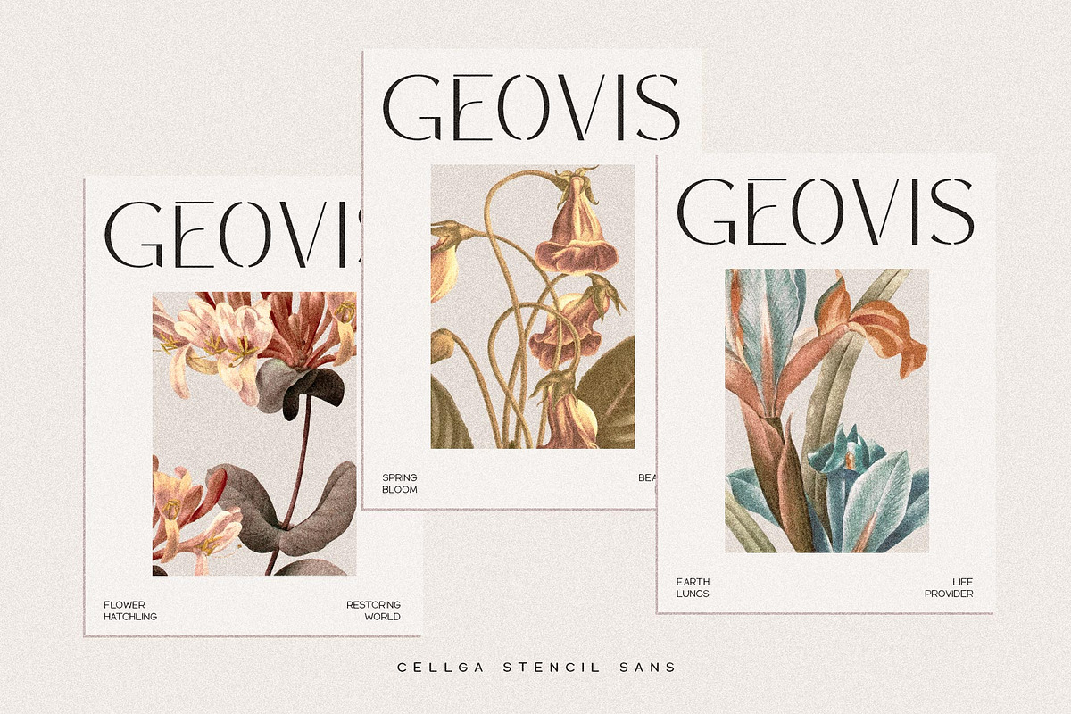 Cellga Typeface, a Sans Serif Font by alit design (Photo 10 of 17)