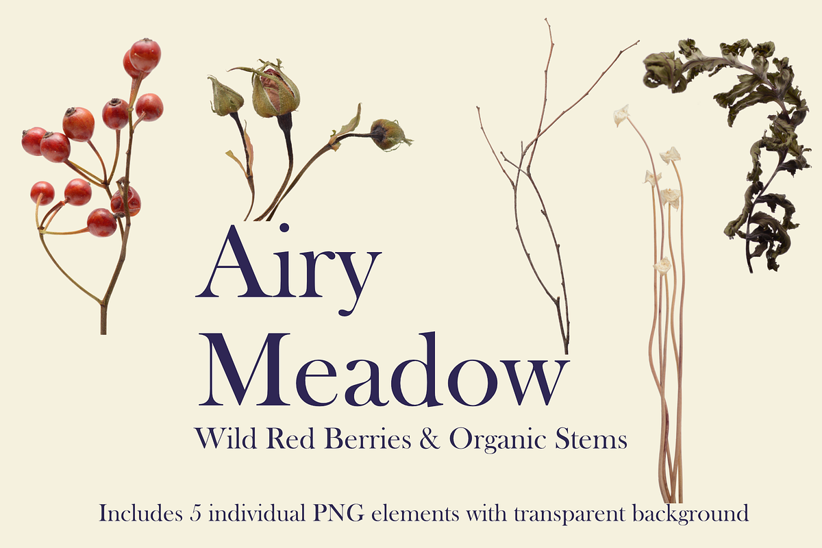 Airy Meadow — Wild Red Berries & Org, an Object Graphic by Aga Silva (Photo 2 of 5)