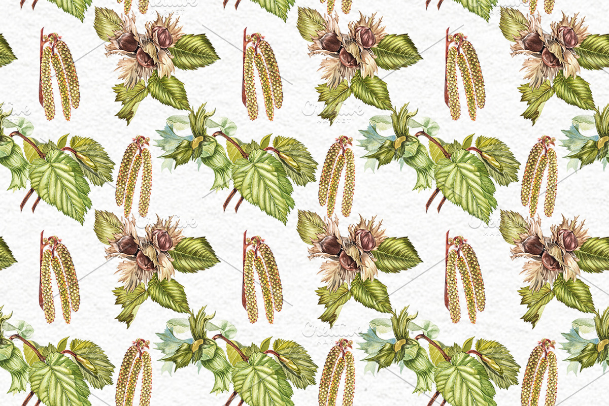 Hazelnuts in botanical style, a Food Illustration by Ann Astro (Photo 7 of 8)