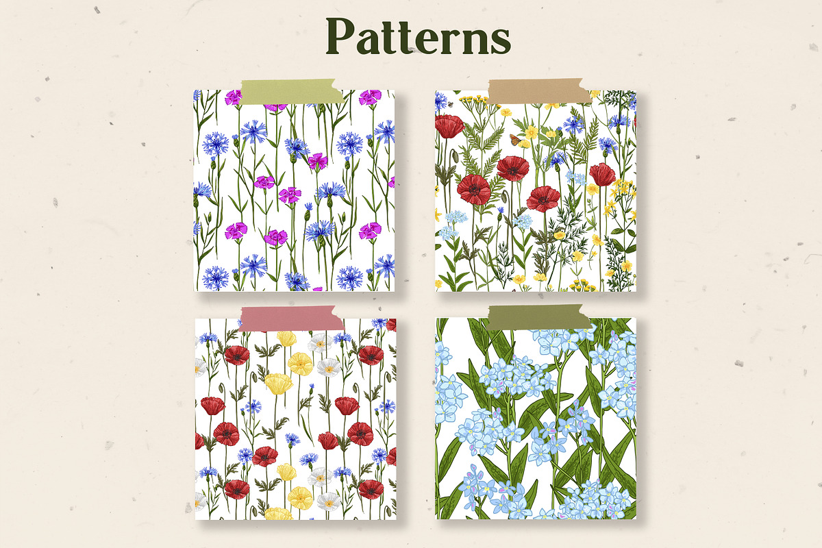 Wild herbs. Wildflowers in summer, a Decorative Illustration by irina.vaneeva (Photo 4 of 8)