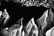 Frenzy Vol 2, a Texture Graphic by Jennifer Lauren Creative (Thumbnail 2 of 16)