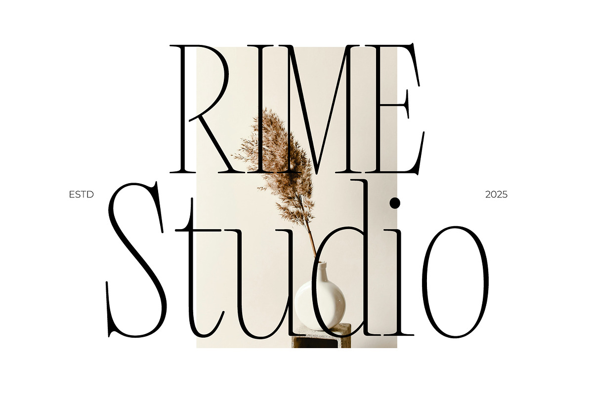 ANERIA — Editorial Serif, a Serif Font by Issam Type (Photo 7 of 14)