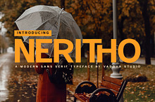 Neritho Modern Sans Typeface Font