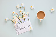 Daffodil flower SVG Line art vector, an Object Graphic by mArtstore (Thumbnail 4 of 4)