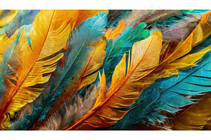 Close-up of variously colored, an Animal Photo by Igor Tichonow