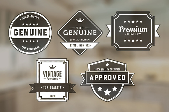 Vintage Badges Vector Pack 5 preview 6