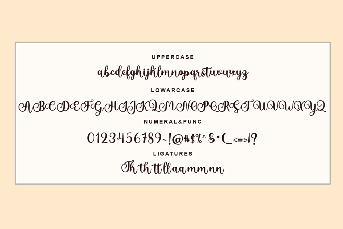 Anulika Script, a Script Font by Bosstype Studio (Photo 5 of 8)
