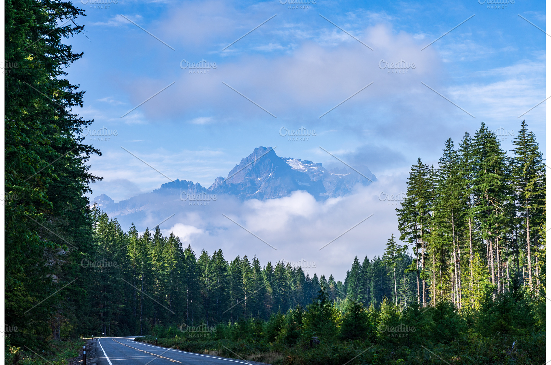 Whitehorse Mountain seen through, a Nature Photo by Backyard Stock