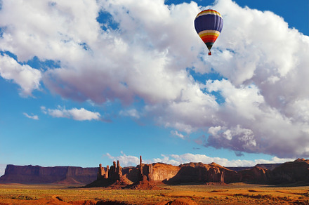 Huge balloon flies, a Nature Photo by kavram