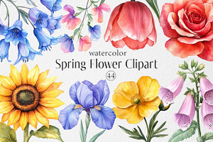 Watercolor Flowers Clipart, Spring, an Illustration by Dream Creation