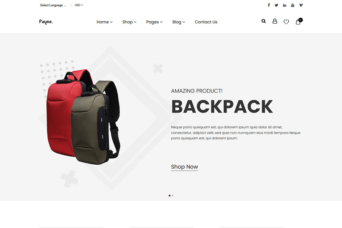 eCommerce Shopify Theme - Payne, a Shopify Template by HasThemes (Photo 1 of 3)