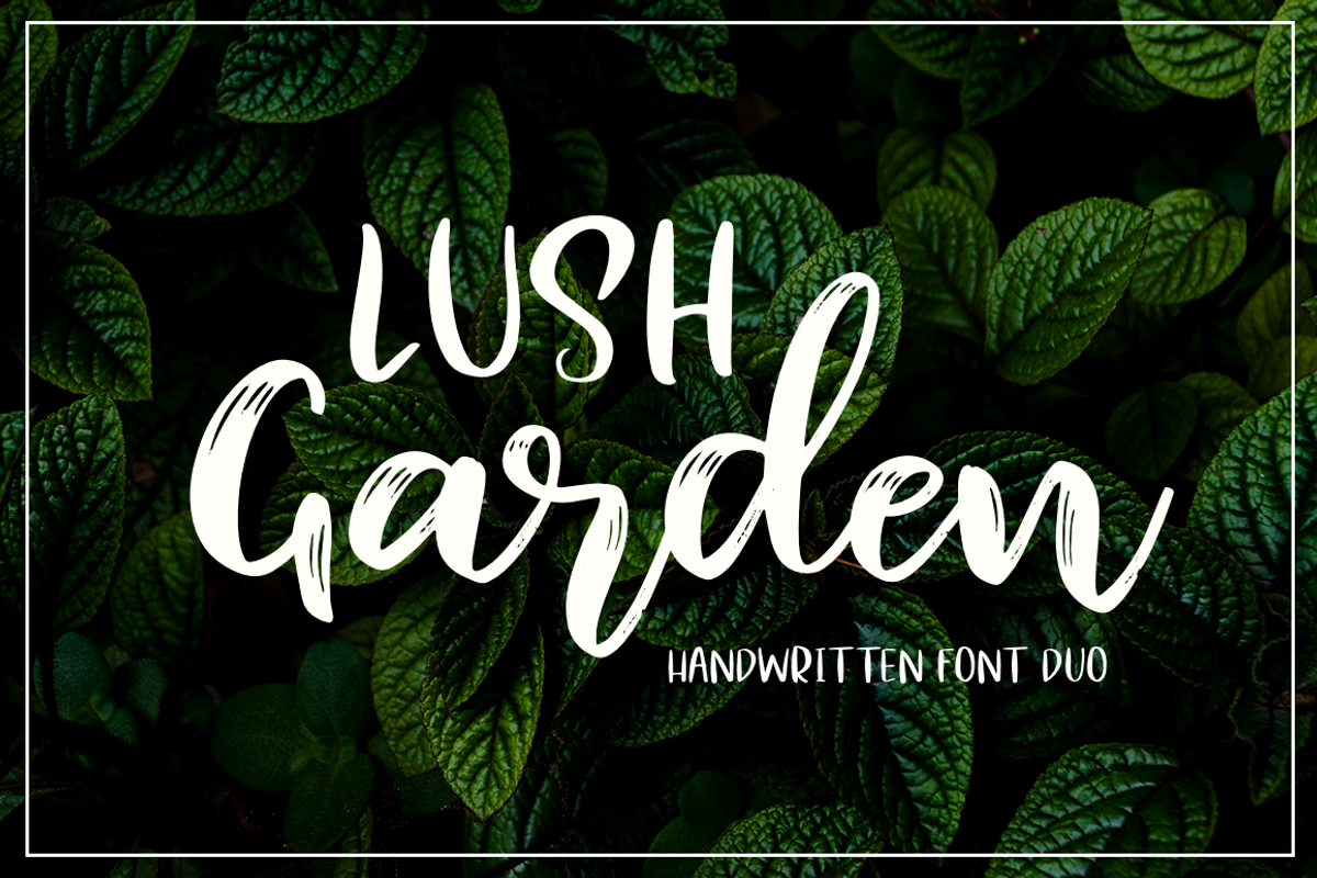 Lush Garden